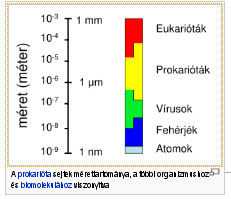 Időskori elváltozások, betegségek és kezelésük I Egy kis