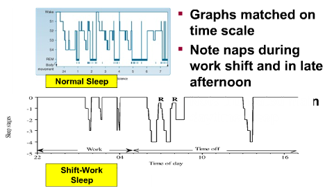 Cirkadián alvászavarok: az alvásperiódus időzítése eltérő Az alvás hossza normál, de időzítése min.