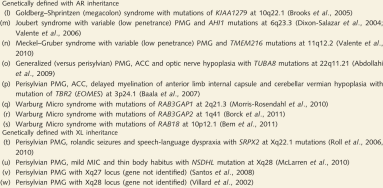 (muscle-eye-brain, CMD 3) Fukuyama congenitalismuscularis dystrophia (CMD 2) CMD 1C és 1D típus Limb-girdle (végtagöv) MD-k Izom, szem és agyi tünetek oka: hámszövetre jellemző alaphártya