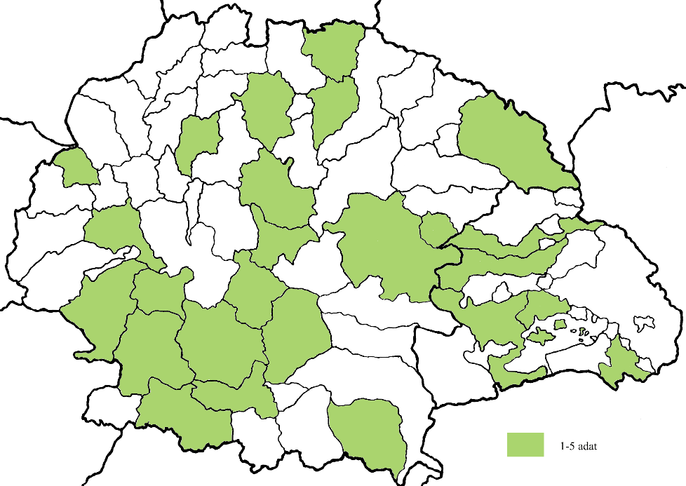 A névalakok kialakulásának kronológiai tulajdonságait vizsgálva azt látjuk (7. diagram), hogy a típus névegyedeinek létrejöttében a 13. és a 14.