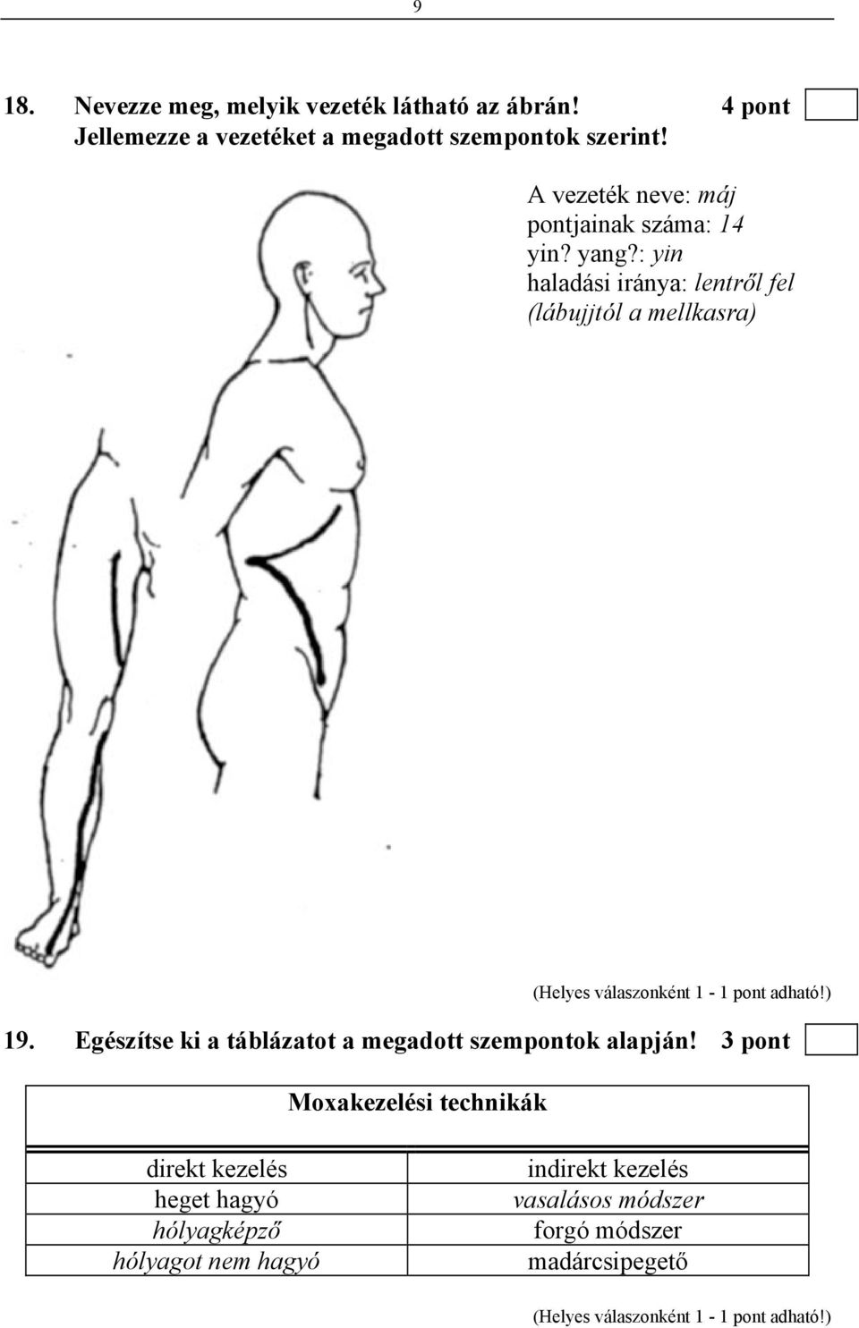 : yin haladási iránya: lentről fel (lábujjtól a mellkasra) (Helyes válaszonként 1-1 pont adható!) 19.