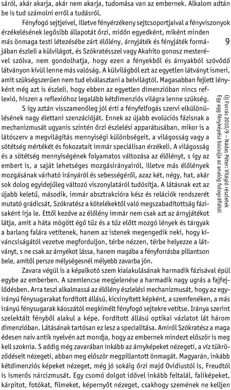 és fényjáték formájában észleli a külvilágot, és Szókratésszel vagy Akahito gonosz 9 mesterével szólva, nem gondolhatja, hogy ezen a fényekből és árnyakból szövődő látványon kívül lenne más valóság.