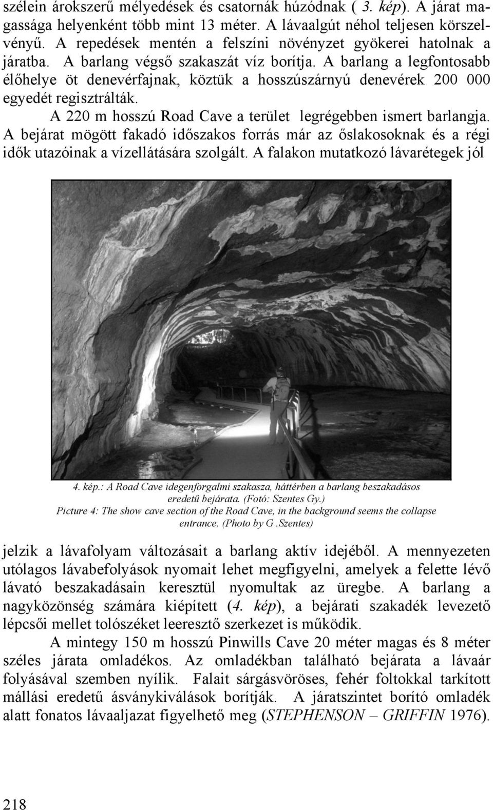 A barlang a legfontosabb élőhelye öt denevérfajnak, köztük a hosszúszárnyú denevérek 200 000 egyedét regisztrálták. A 220 m hosszú Road Cave a terület legrégebben ismert barlangja.