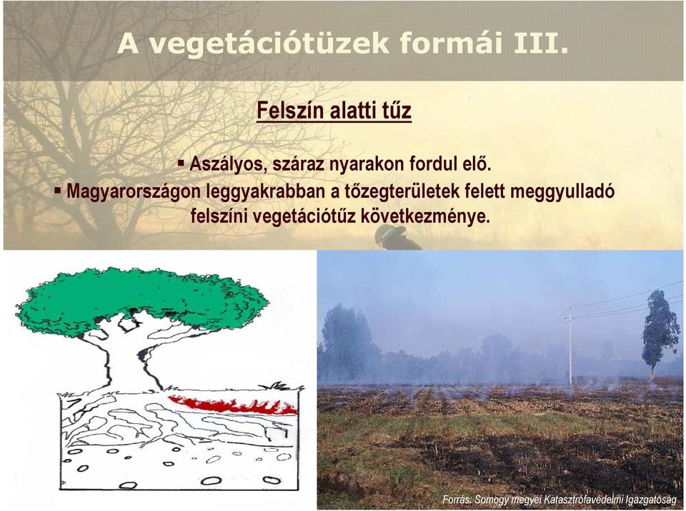 Magyarországon leggyakrabban a tızegterületek felett