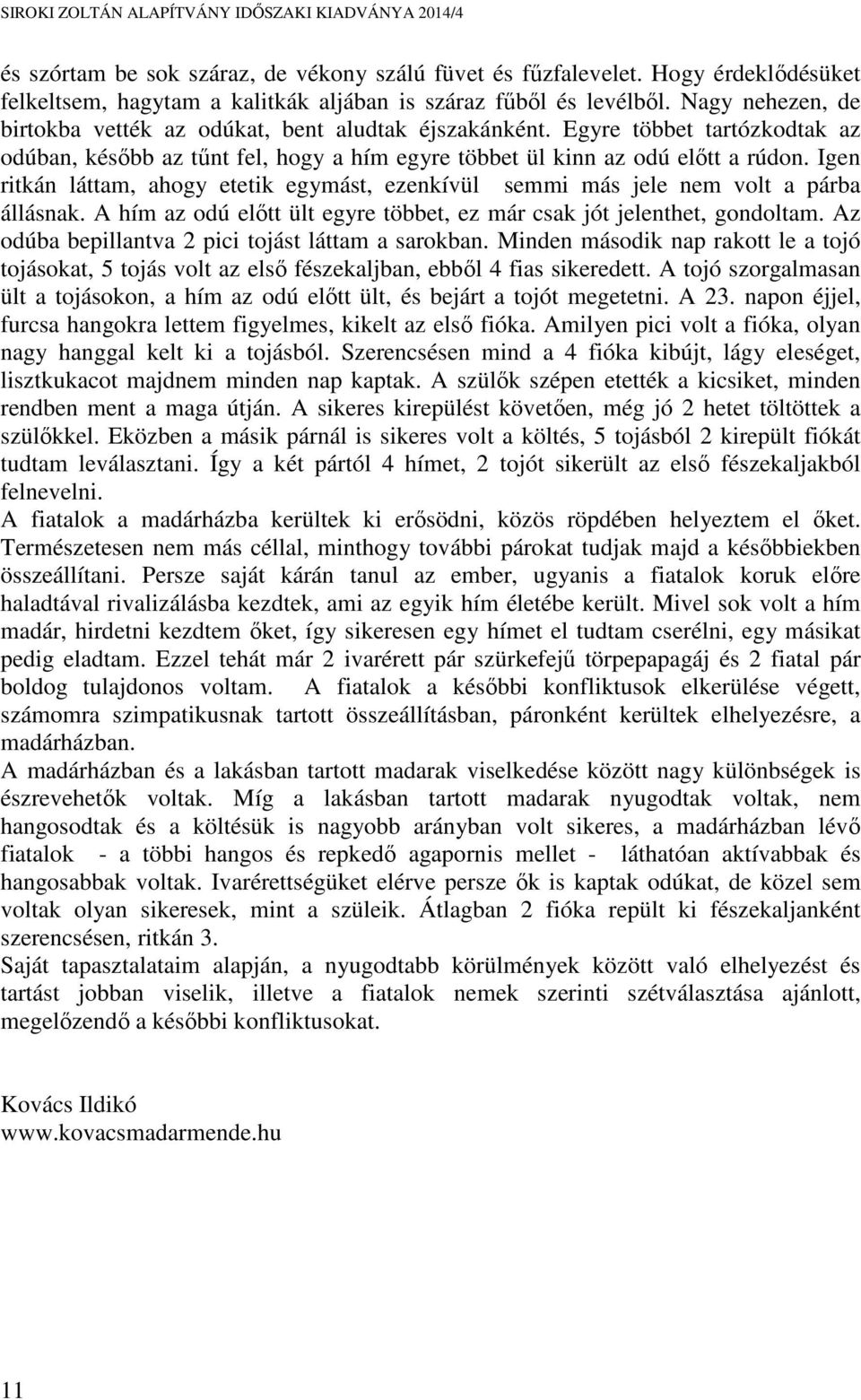 Igen ritkán láttam, ahogy etetik egymást, ezenkívül semmi más jele nem volt a párba állásnak. A hím az odú előtt ült egyre többet, ez már csak jót jelenthet, gondoltam.