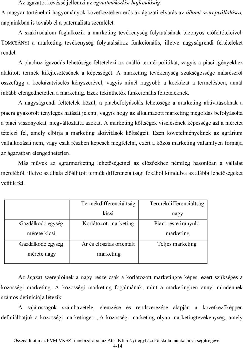 A szakirodalom foglalkozik a marketing tevékenység folytatásának bizonyos előfeltételeivel. TOMCSÁNYI a marketing tevékenység folytatásához funkcionális, illetve nagyságrendi feltételeket rendel.