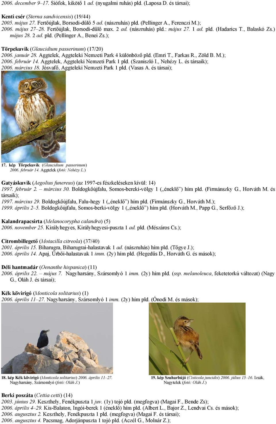 ); Törpekuvik (Glaucidium passerinum) (17/20) 2006. január 28. Aggtelek, Aggteleki Nemzeti Park 4 különböző pld. (Emri T., Farkas R., Zöld B. M.); 2006. február 14.