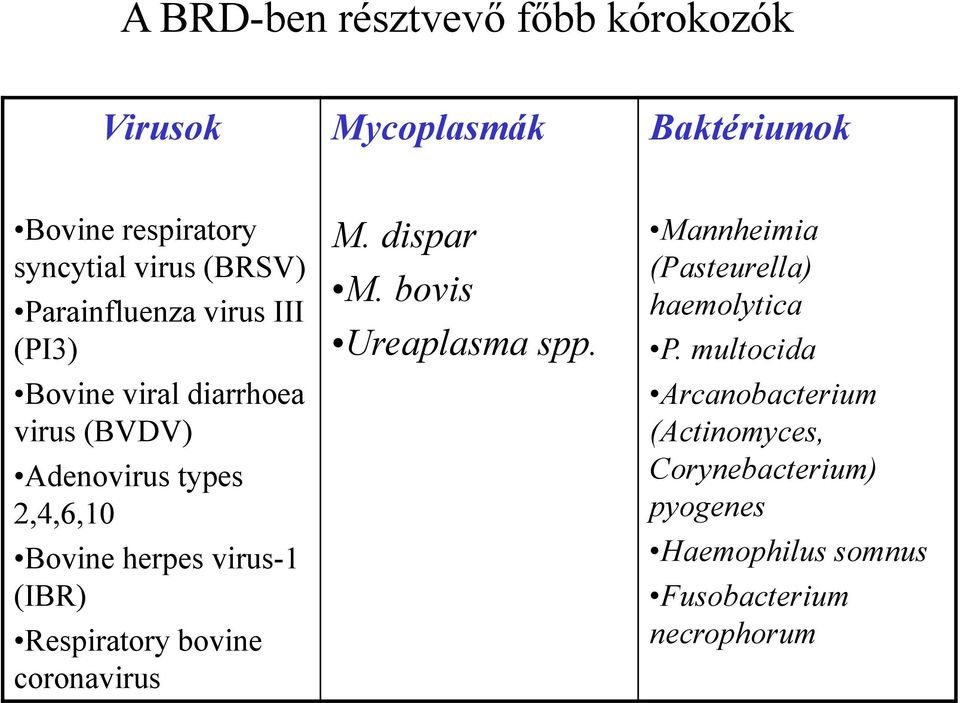 virus-1 (IBR) Respiratory bovine coronavirus M. dispar M. bovis Ureaplasma spp.