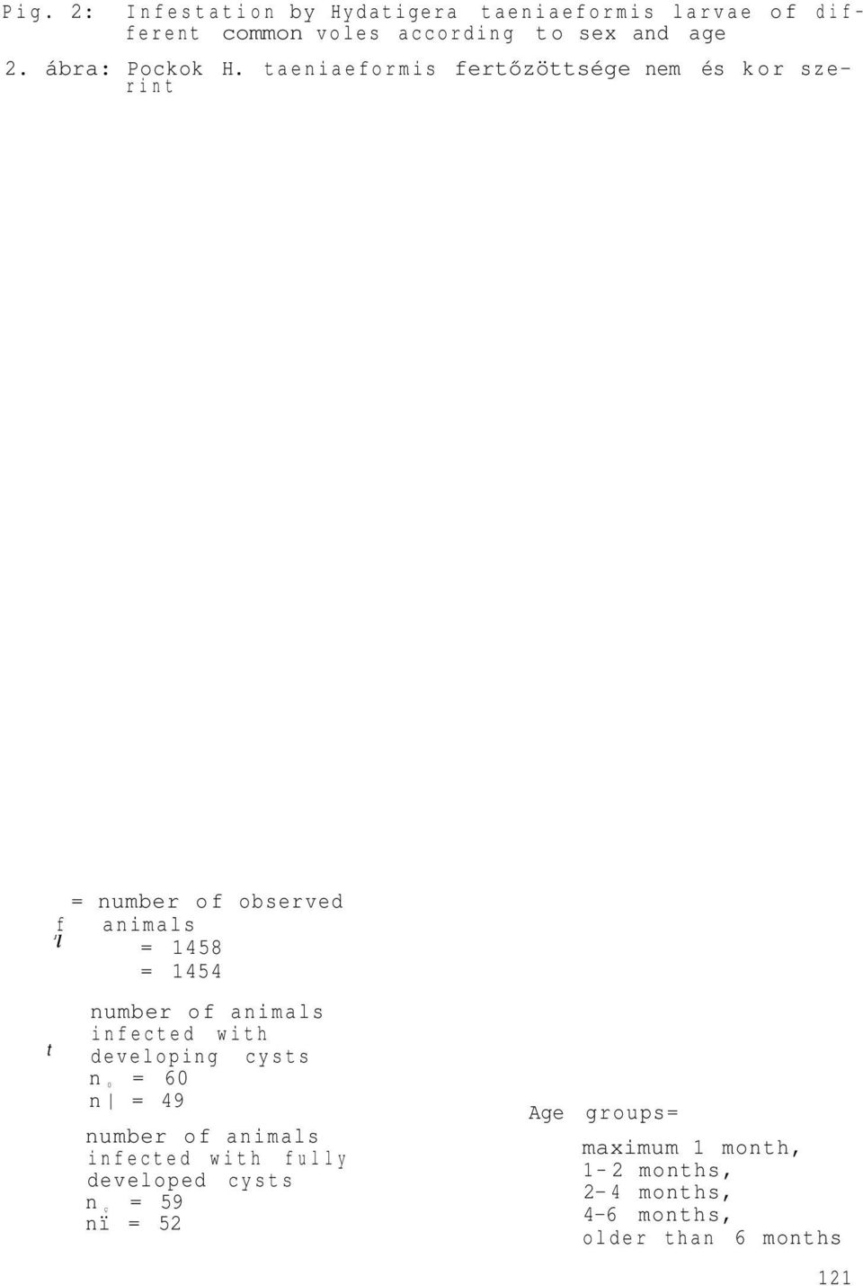 taeniaeformis fertőzöttsége nem és kor szerint t = number of observed Jf animals l = 1458 = 1454 number of