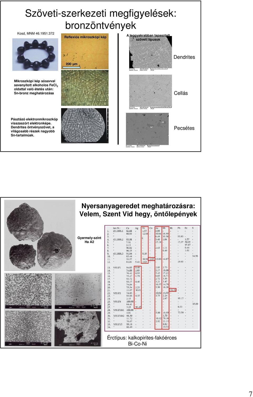 alkoholos FeCl 3 oldattal való étetés után: Sn-bronz meghatározása Cellás Pásztázó elektronmikroszkóp visszaszórt elektronképe.