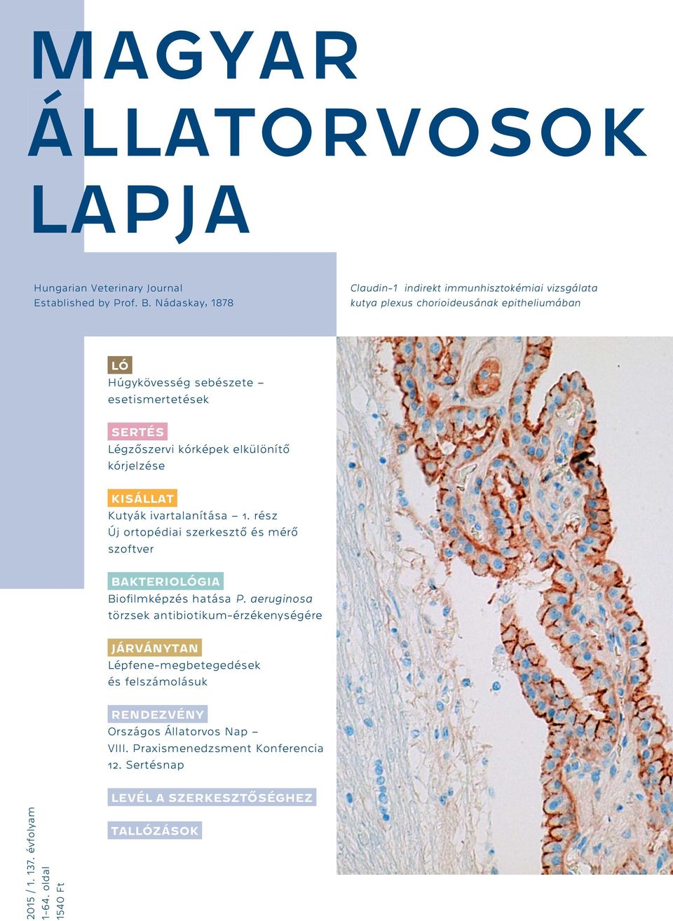 Légzőszervi kórképek elkülönítő kórjelzése KISÁLLAT Kutyák ivartalanítása 1. rész Új ortopédiai szerkesztő és mérő szoftver BAKTERIOLÓGIA Biofilmképzés hatása P.