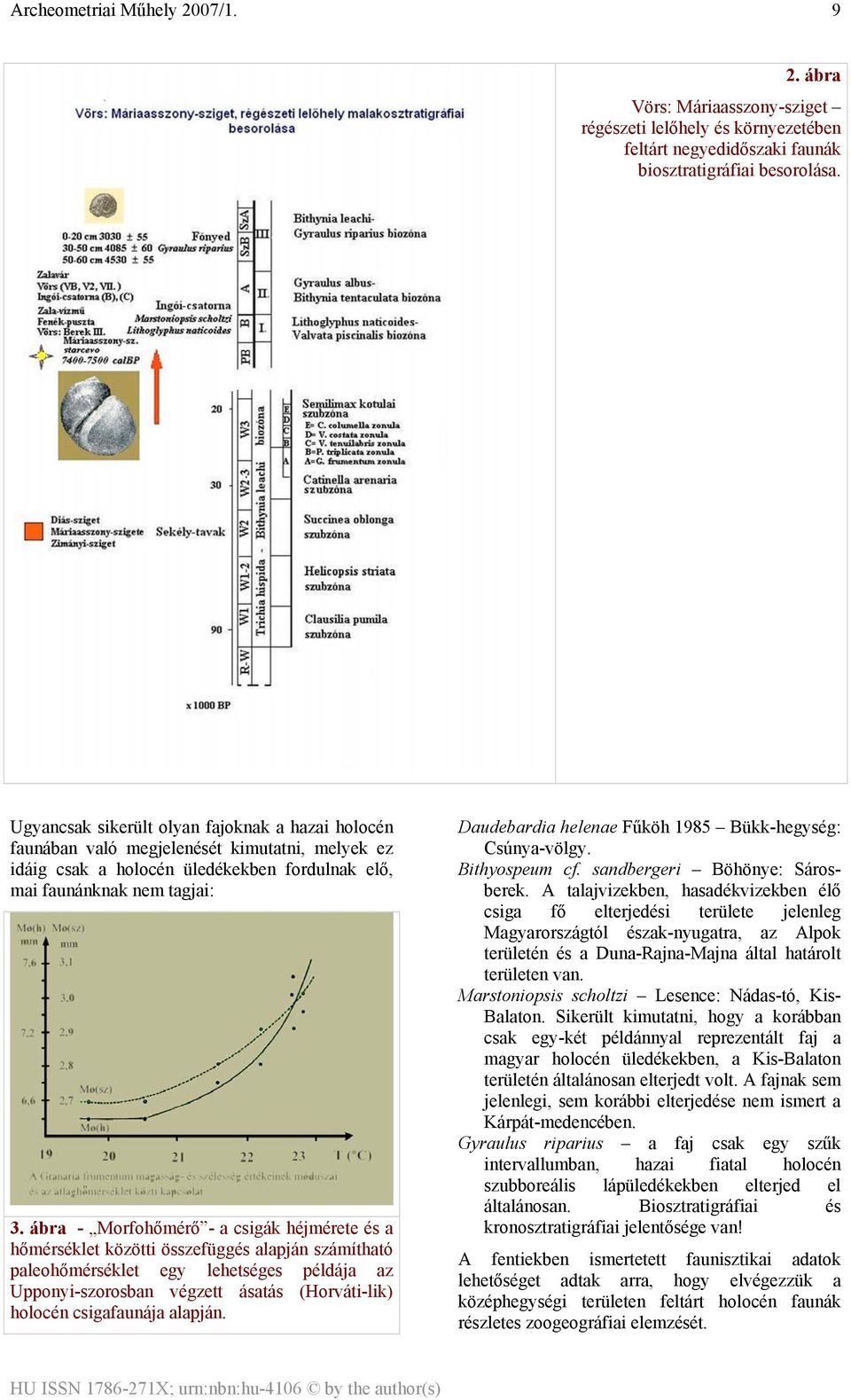 ábra - Morfohőmérő - a csigák héjmérete és a hőmérséklet közötti összefüggés alapján számítható paleohőmérséklet egy lehetséges példája az Upponyi-szorosban végzett ásatás (Horváti-lik) holocén