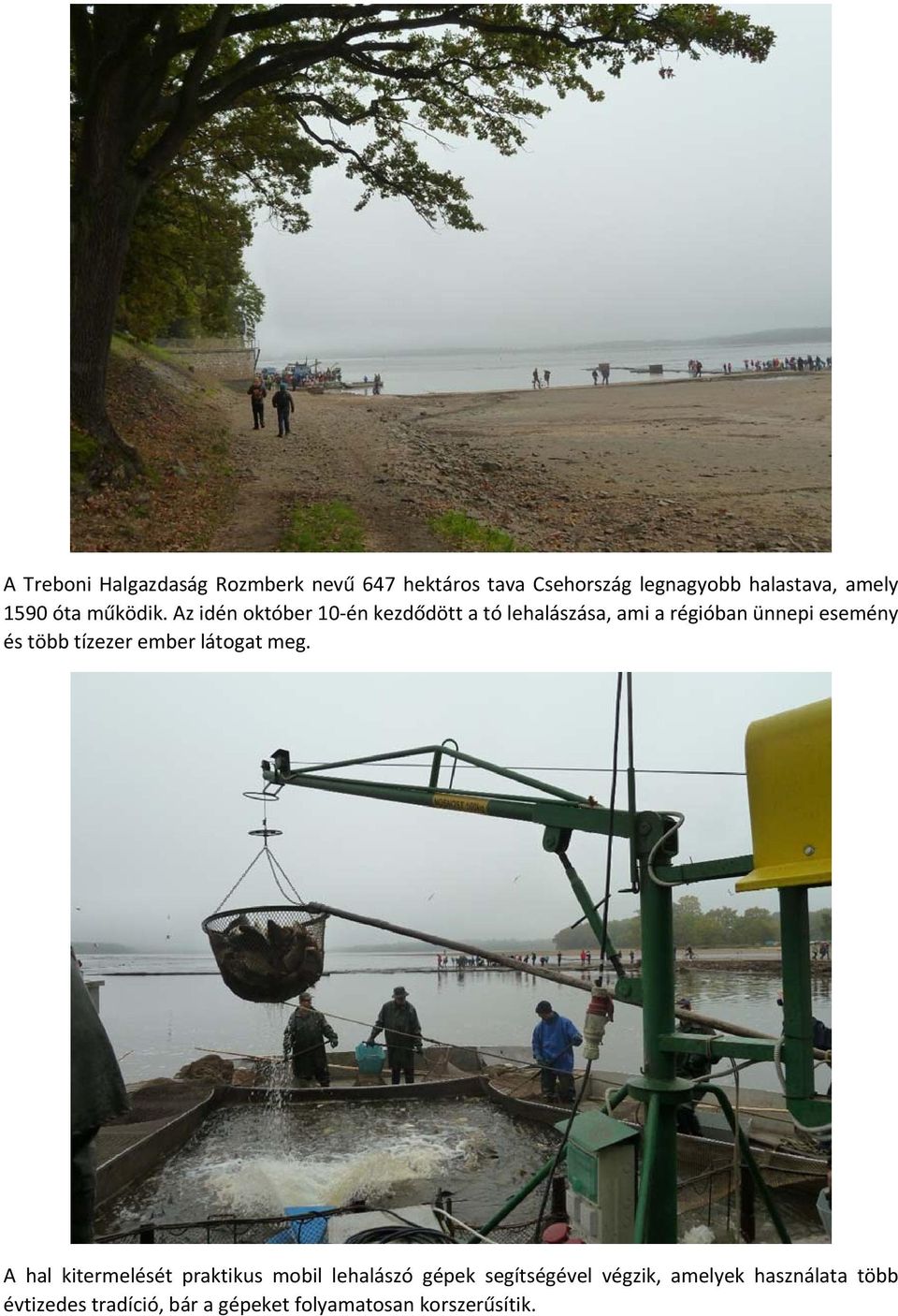 Az idén október 10 én kezdődött a tó lehalászása, ami a régióban ünnepi esemény és több tízezer