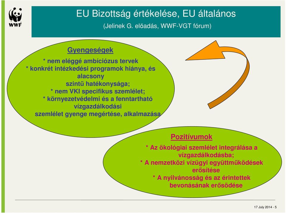 hatékonysága; * nem VKI specifikus szemlélet; * környezetvédelmi és a fenntartható vízgazdálkodási szemlélet gyenge