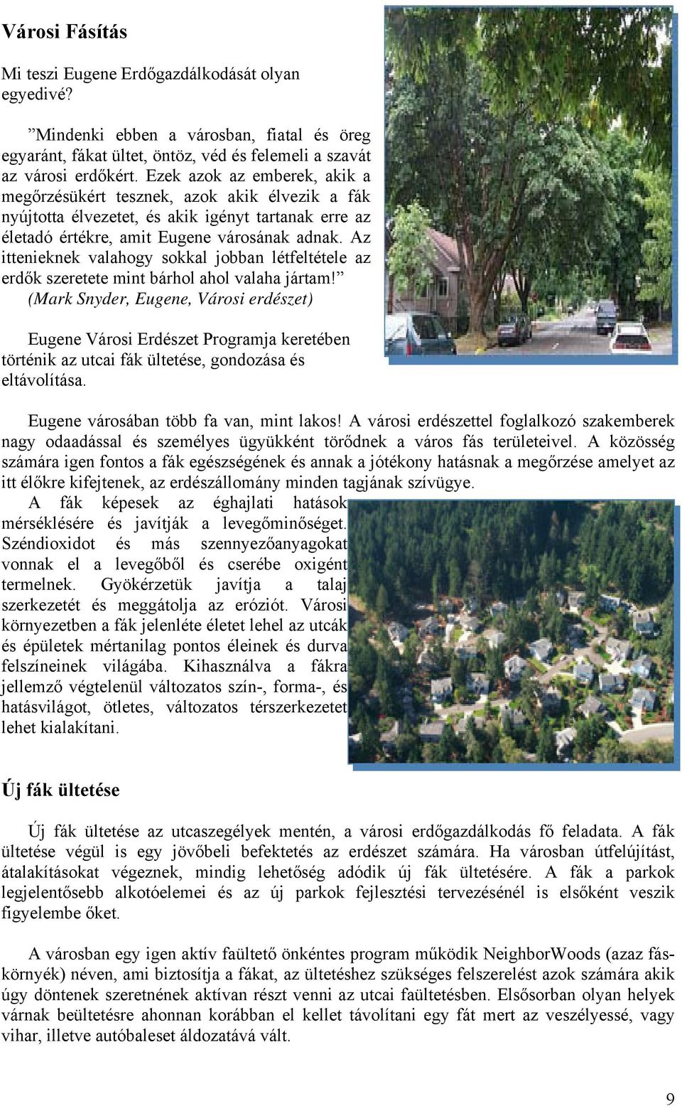 Az ittenieknek valahogy sokkal jobban létfeltétele az erdők szeretete mint bárhol ahol valaha jártam!