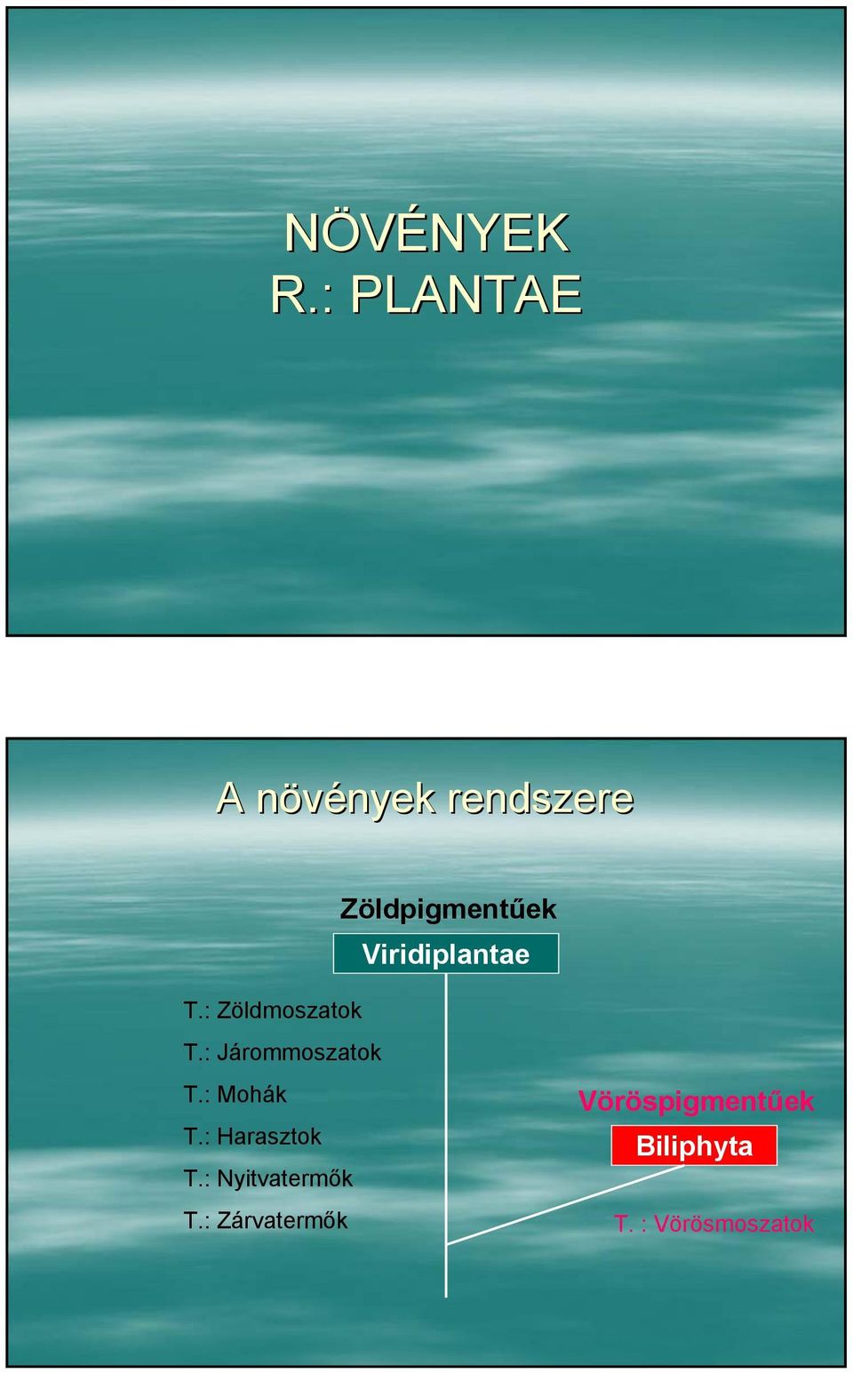 Viridiplantae T.: Zöldmoszatok T.: Járommoszatok T.