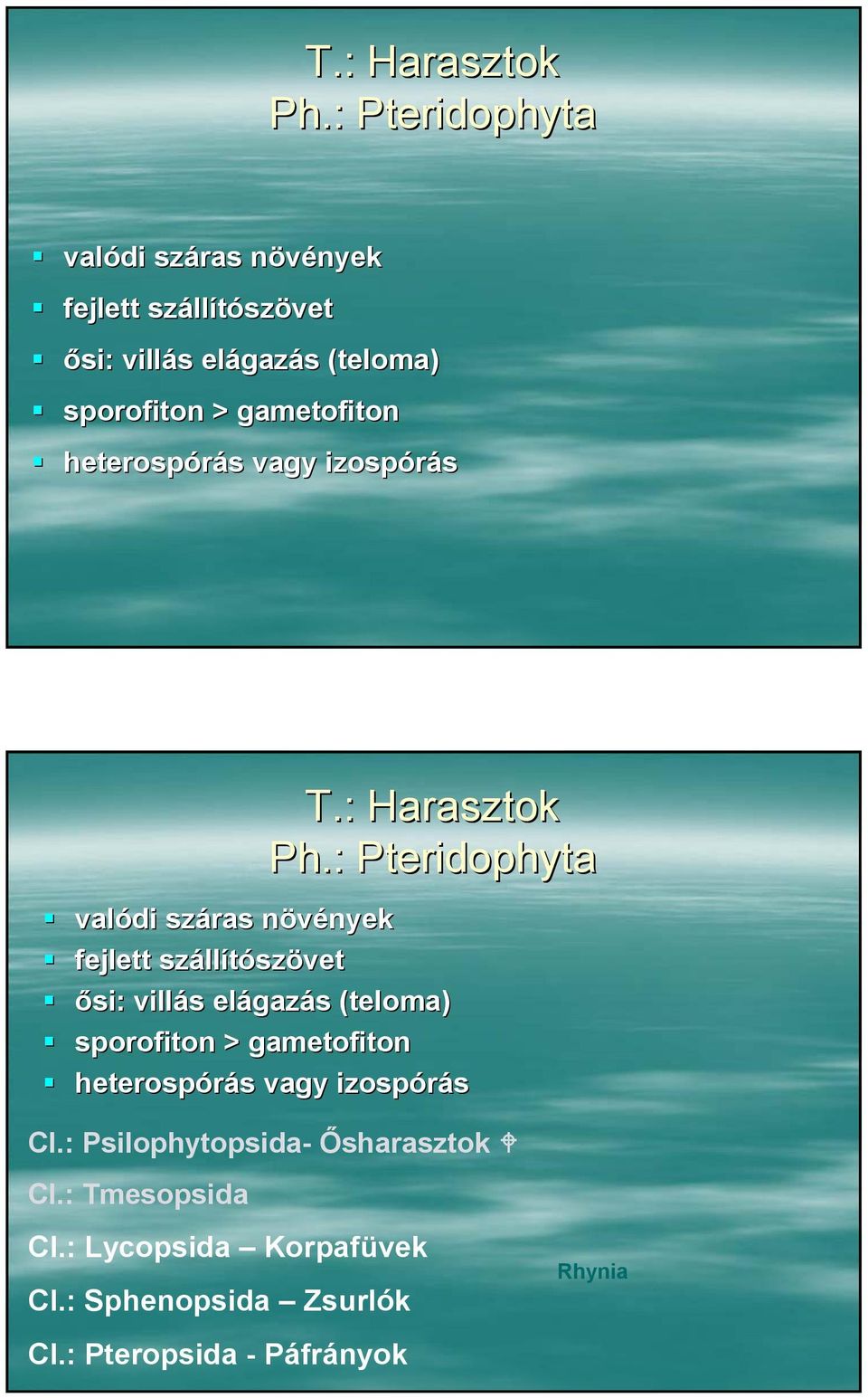 gametofiton heterospórás vagy izospórás  gametofiton heterospórás vagy izospórás Cl.: Psilophytopsida- Ősharasztok Cl.