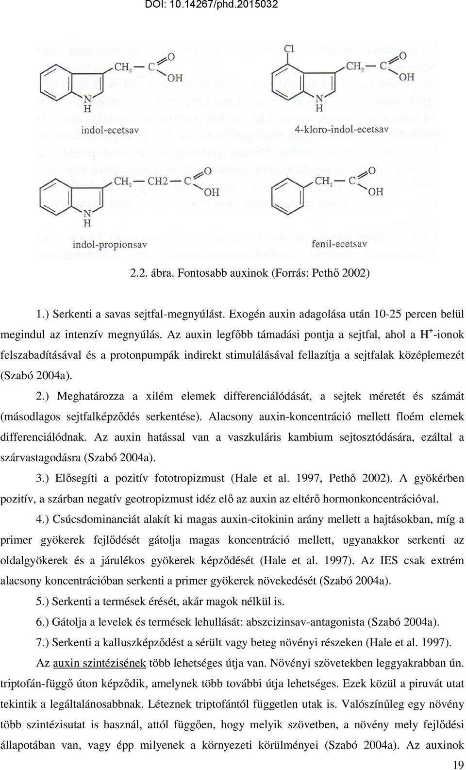 04a). 2.) Meghatározza a xilém elemek differenciálódását, a sejtek méretét és számát (másodlagos sejtfalképzıdés serkentése). Alacsony auxin-koncentráció mellett floém elemek differenciálódnak.