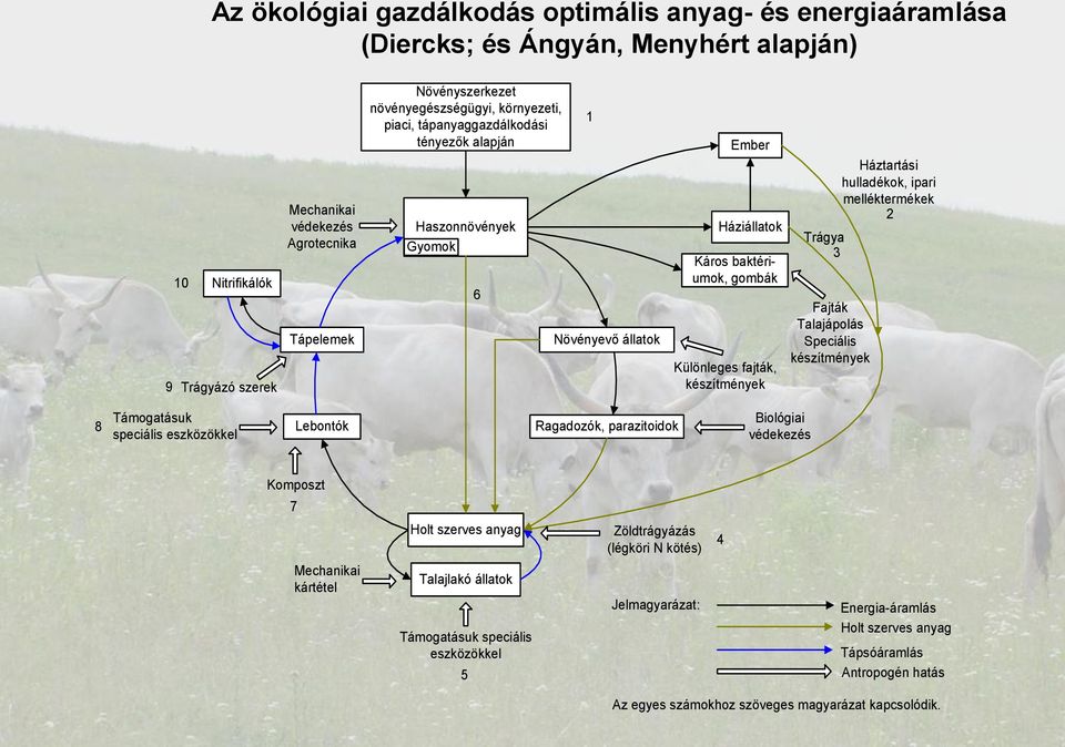 Trágya 3 Fajták Talajápolás Speciális készítmények Háztartási hulladékok, ipari melléktermékek 2 8 Támogatásuk speciális eszközökkel Lebontók Ragadozók, parazitoidok Biológiai védekezés Komposzt 7