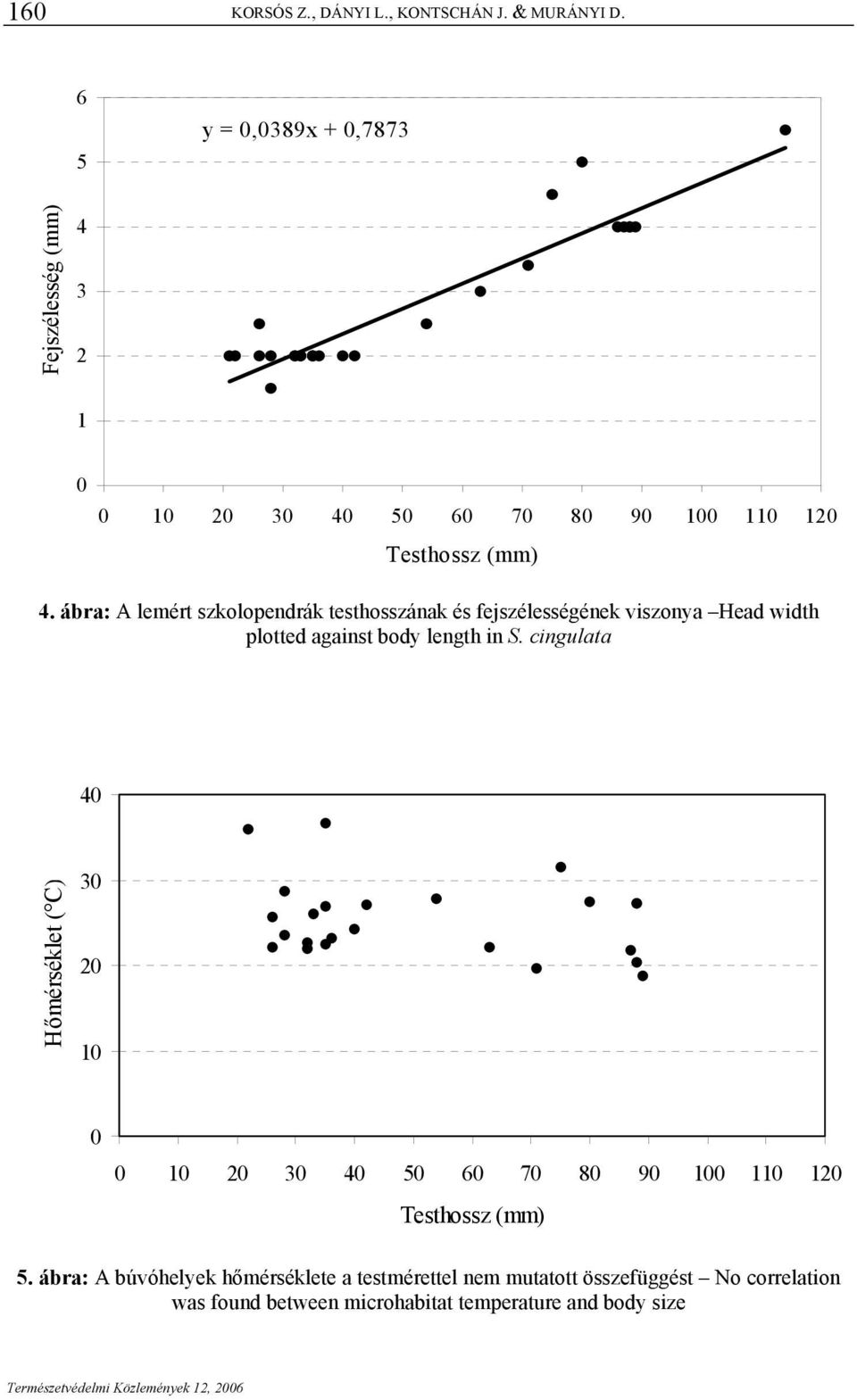 ábra: A lemért szkolopendrák testhosszának és fejszélességének viszonya Head width plotted against body length in S.