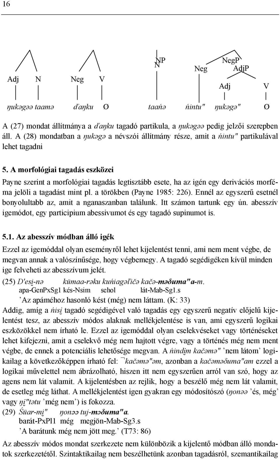 A morfológiai tagadás eszközei Payne szerint a morfológiai tagadás legtisztább esete, ha az igén egy derivációs morféma jelöli a tagadást mint pl. a törökben (Payne 1985: 226).