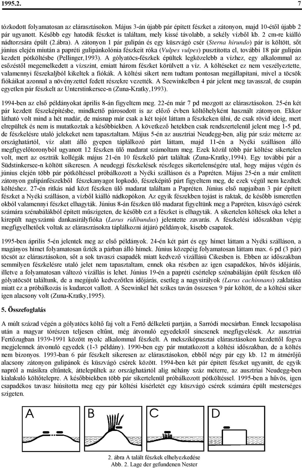 A zátonyon 1 pár gulipán és egy küszvágó csér (Sterna hirundo) pár is költött, sőt június elején miután a papréti gulipánkolónia fészkeit róka (Vulpes vulpes) pusztította el, további 18 pár gulipán