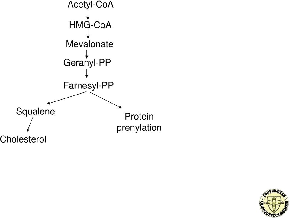 Farnesyl-PP Squalene