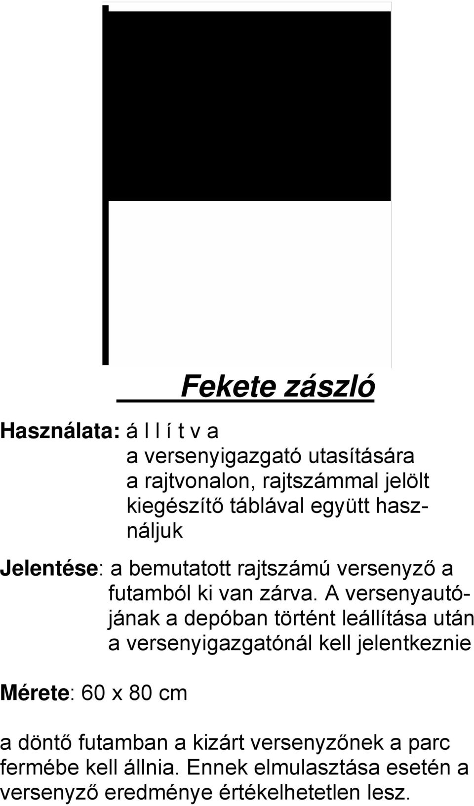 A versenyautójának a depóban történt leállítása után a versenyigazgatónál kell jelentkeznie a döntő futamban