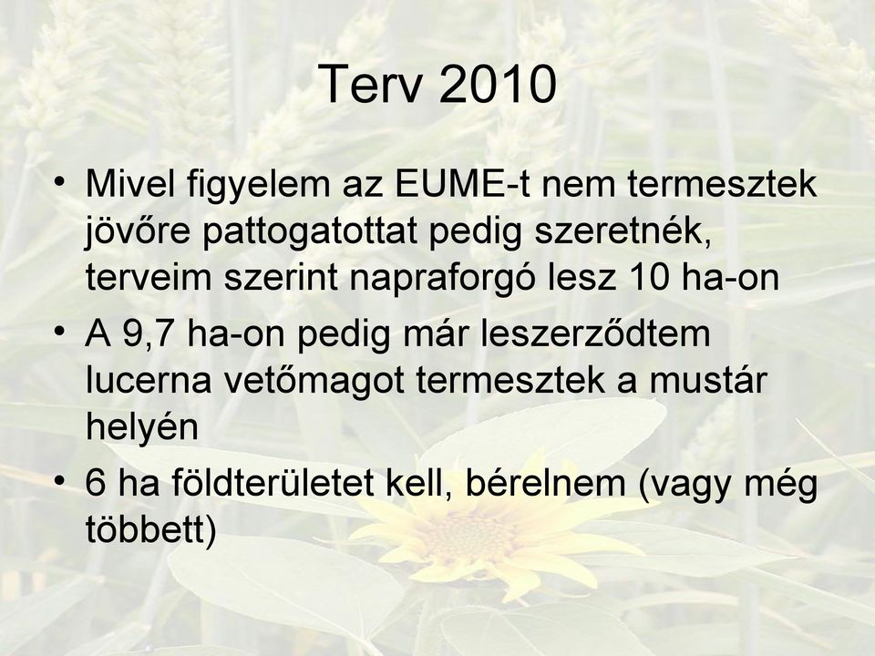 ha-on A 9,7 ha-on pedig már leszerződtem lucerna vetőmagot