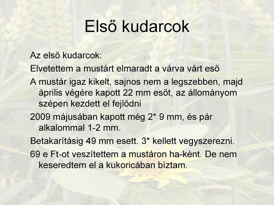 fejlődni 2009 májusában kapott még 2* 9 mm, és pár alkalommal 1-2 mm. Betakarításig 49 mm esett.