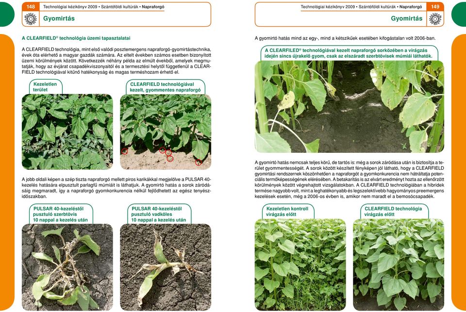 Következzék néhány példa az elmúlt évekbôl, amelyek meg mutatják, hogy az évjárat csapadékviszonyaitól és a termesztési helytôl függetlenül a CLEAR- FIELD technológiával kitûnô hatékonyság és magas