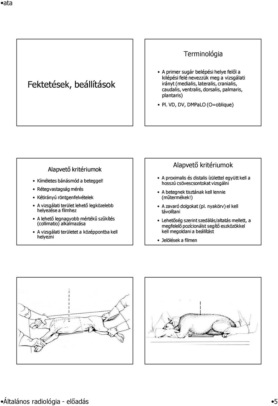 Rétegvastagság mérés Kétirányú röntgenfelvételek A vizsgálati terület lehetı legközelebb helyezése a filmhez A lehetı legnagyobb mértékő szőkítés (collimatio) alkalmazása A vizsgálati területet a