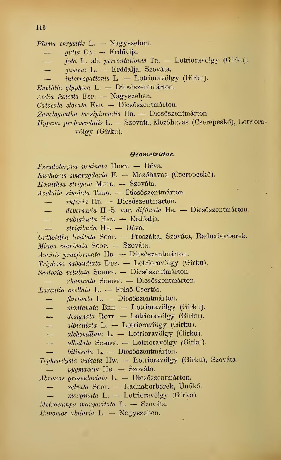 Szováta, Mezhavas (Cserepesk), Lotrioravölgy (Girku). Geometridae. Pseudoierpna pruinata Hufn. Déva. Euchloris smaragdaria F. Mezhavas Hemithea sirigata Mull. Szováta. Acidalia similata Thbg.