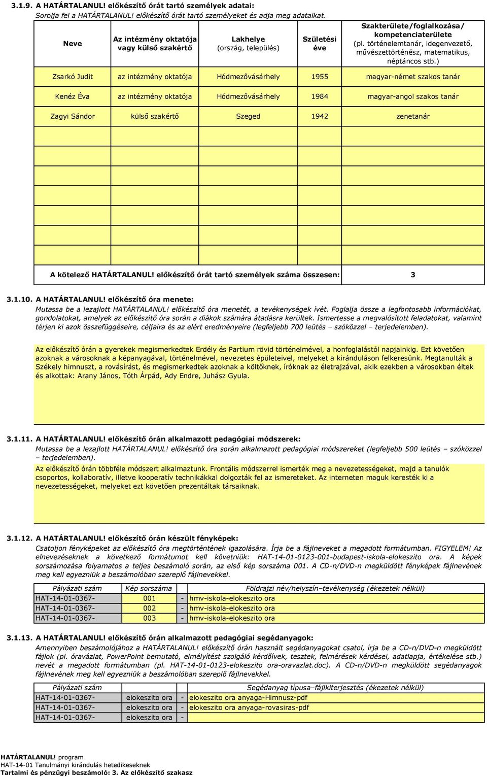 történelemtanár, idegenvezető, művészettörténész, matematikus, néptáncos stb.