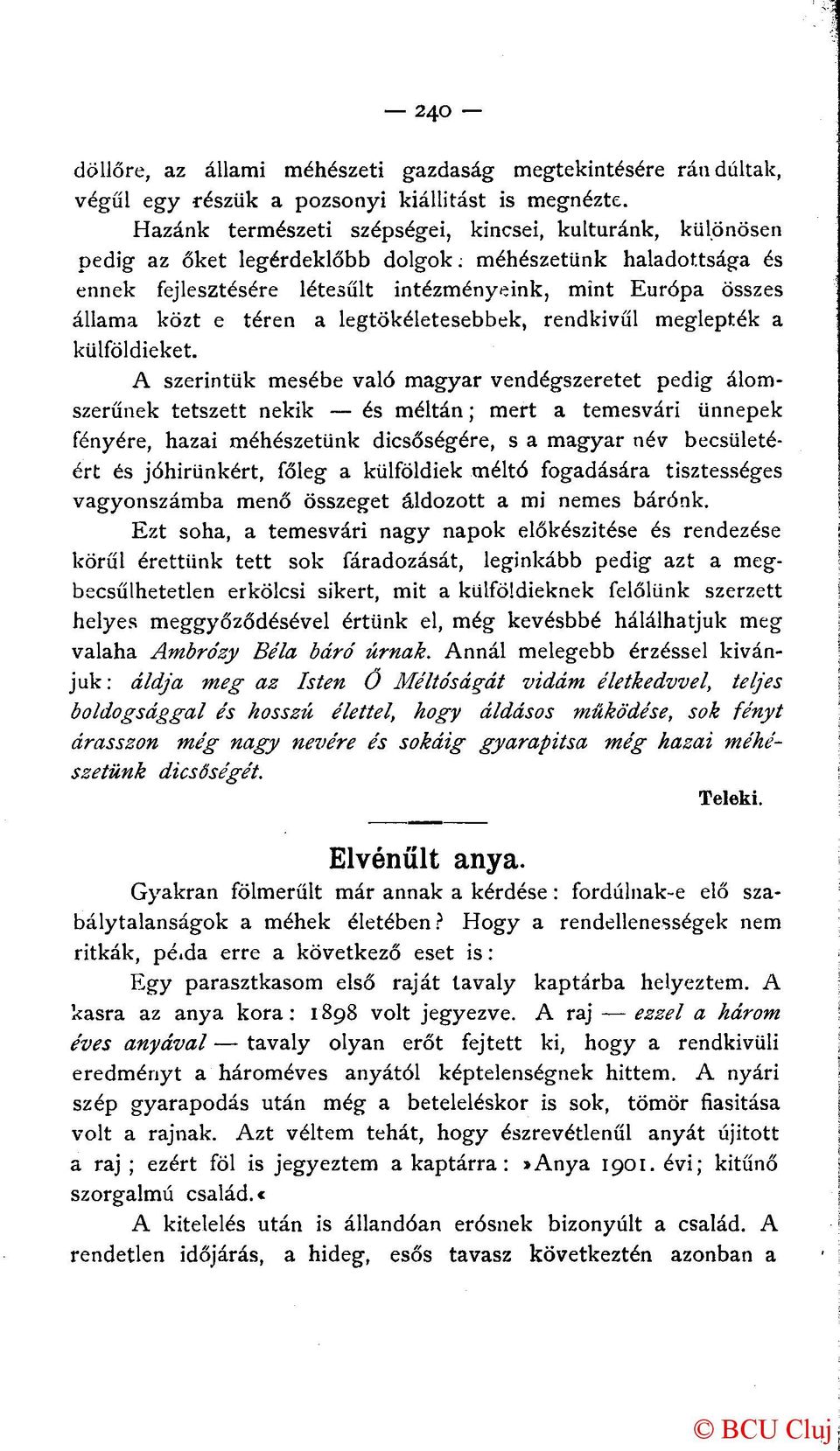 téren a legtökéletesebbek, rendkívül meglepték a külföldieket.