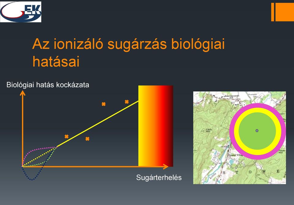 hatása Bológa