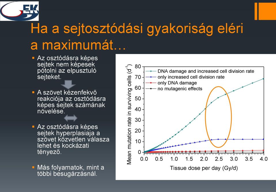 Az osztódásra képes sejtek hyperplasaja a szövet közvetlen válasza lehet és kockázat tényező. Más folyamatok, mnt a több besugárzásnál.