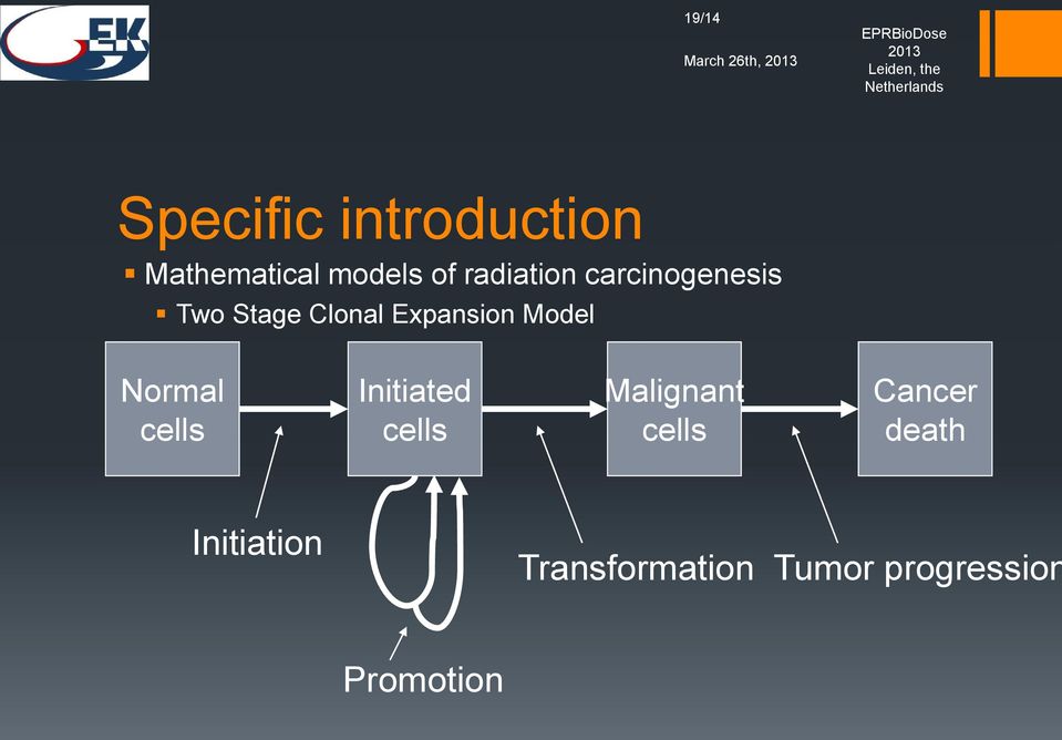 Two Stage Clonal Expanson Model Normal cells Intated cells