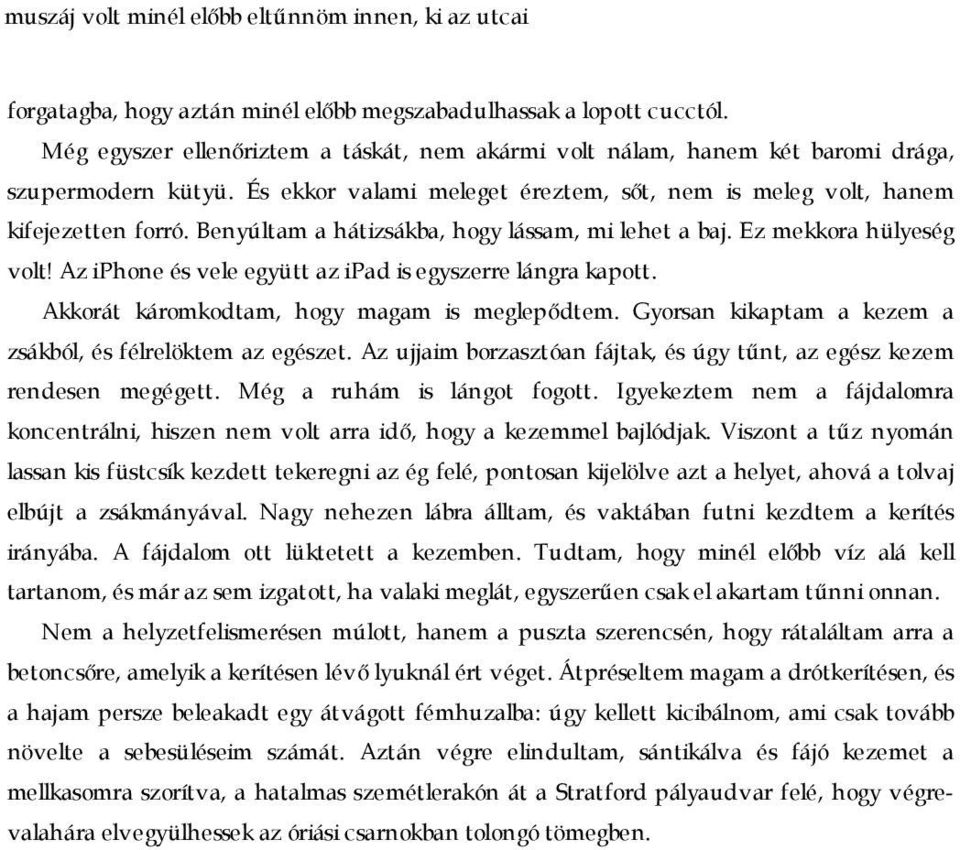 Benyúltam a hátizsákba, hogy lássam, mi lehet a baj. Ez mekkora hülyeség volt! Az iphone és vele együtt az ipad is egyszerre lángra kapott. Akkorát káromkodtam, hogy magam is meglepődtem.