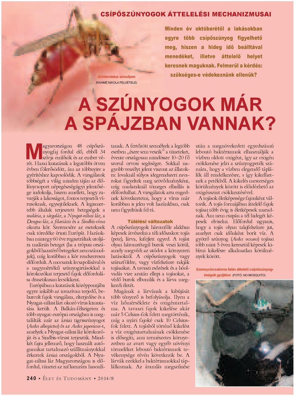 M agyarországon 48 csí pő szúnyog faj fordul elő, ebből 34 szívja emlősök és az ember vérét. Hazai kutatásuk a legutóbbi ötven évben fölerősödött, ám az többnyire a gyérítéshez kapcsolódik.