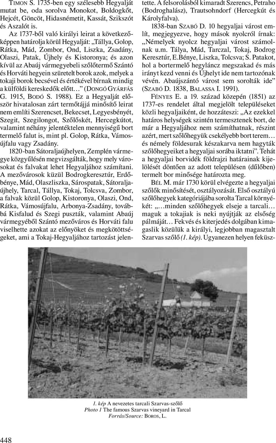 vármegyebeli szőlőtermő Szántó és Horváti hegyein szüretelt borok azok, melyek a tokaji borok becsével és értékével bírnak mindig a külföldi kereskedők előtt (DONGÓ GYÁRFÁS G. 1915, BODÓ S. 1988).