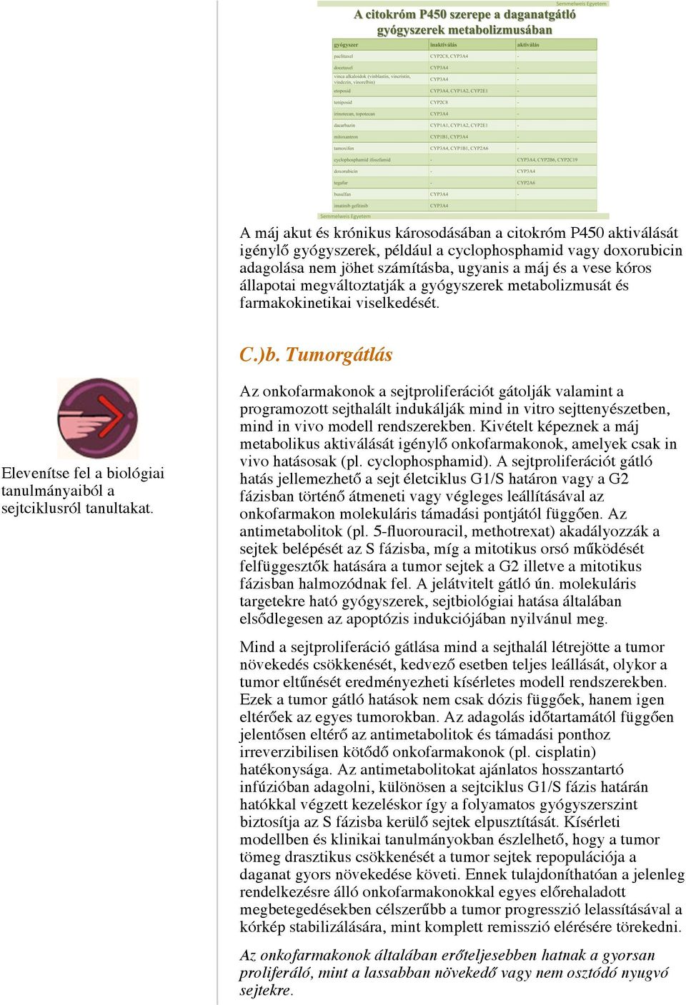 Az onkofarmakonok a sejtproliferációt gátolják valamint a programozott sejthalált indukálják mind in vitro sejttenyészetben, mind in vivo modell rendszerekben.
