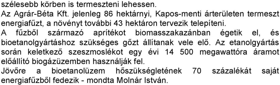 A fűzből származó aprítékot biomasszakazánban égetik el, és bioetanolgyártáshoz szükséges gőzt állítanak vele elő.