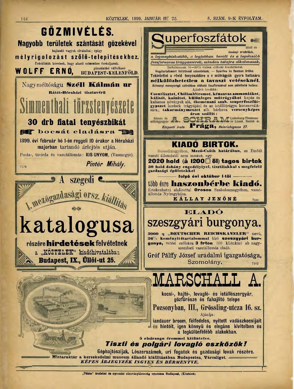 Nagyméltóságú S z é l i K á l m á n i i r Rátőt-Héraházi tisztavérü 30 drb fiatal tenyészbikái P S T " b o c s á t e l í i d á s r í i " S S 1899.