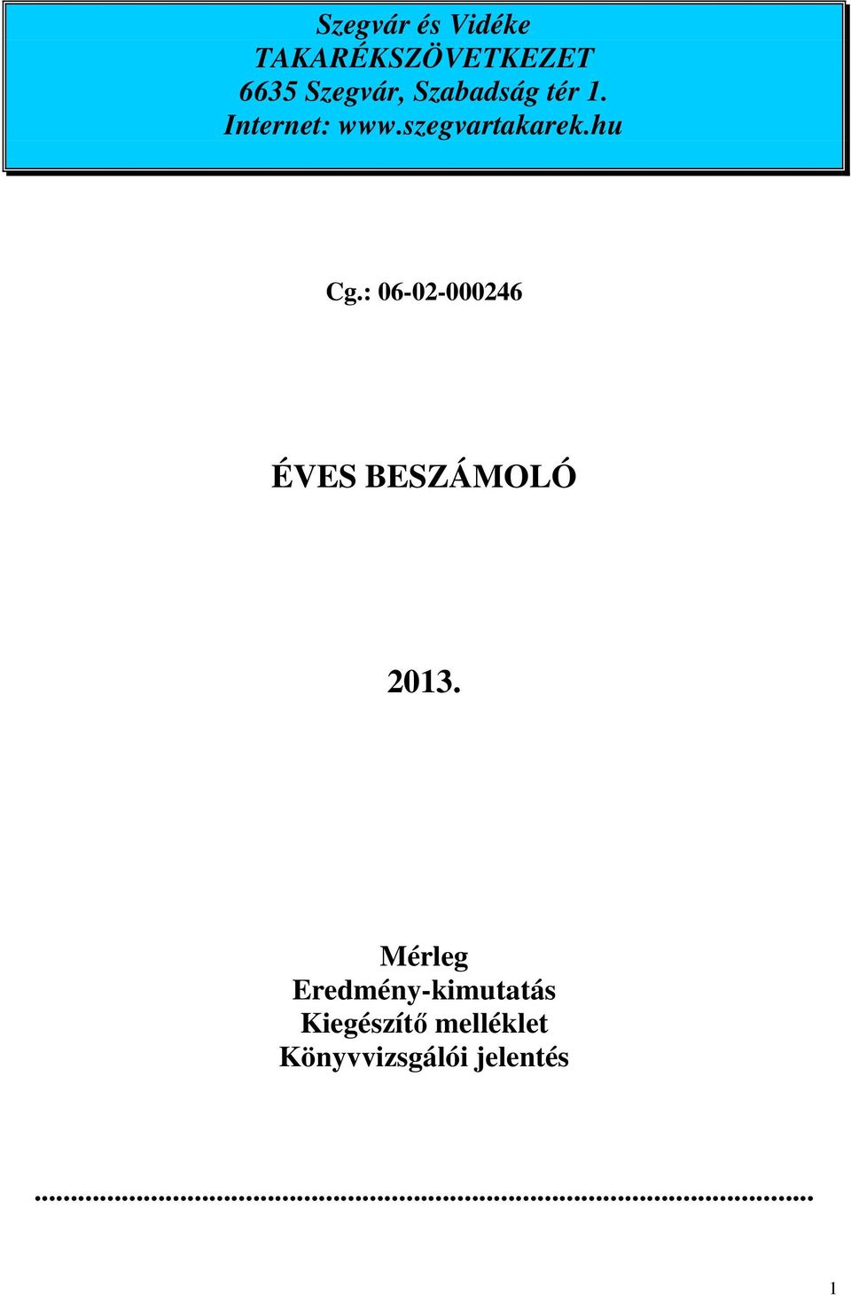 : 06-02-000246 ÉVES BESZÁMOLÓ 2013.