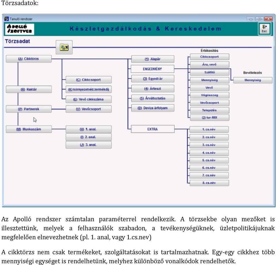 üzletpolitikájuknak megfelelően elnevezhetnek (pl. 1. anal, vagy 1.cs.