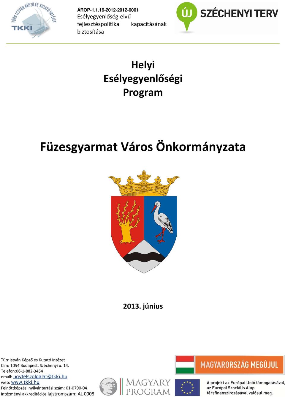 Esélyegyenlőségi Program Füzesgyarmat Város Önkormányzata 2013.