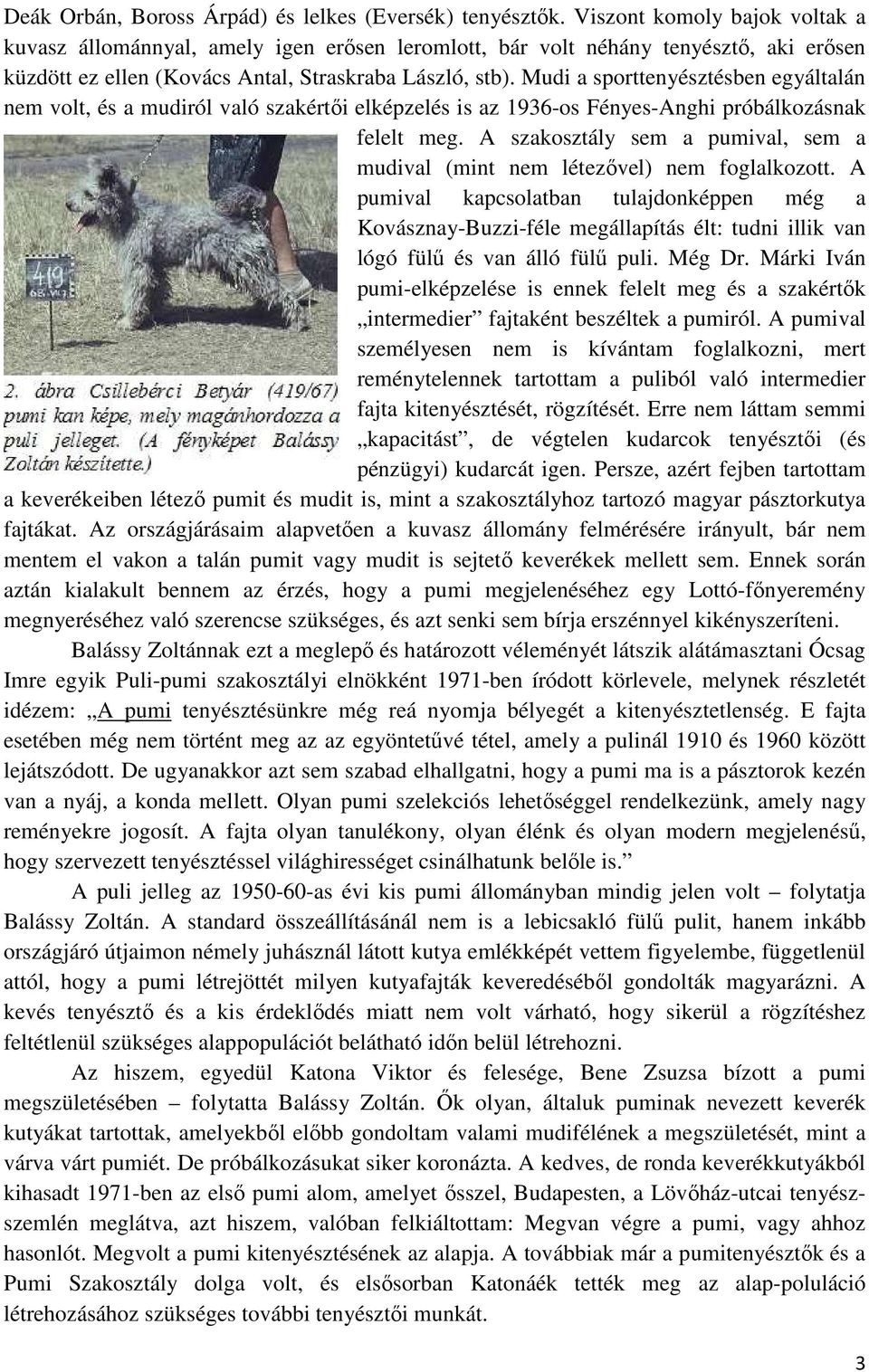 Mudi a sporttenyésztésben egyáltalán nem volt, és a mudiról való szakértői elképzelés is az 1936-os Fényes-Anghi próbálkozásnak felelt meg.