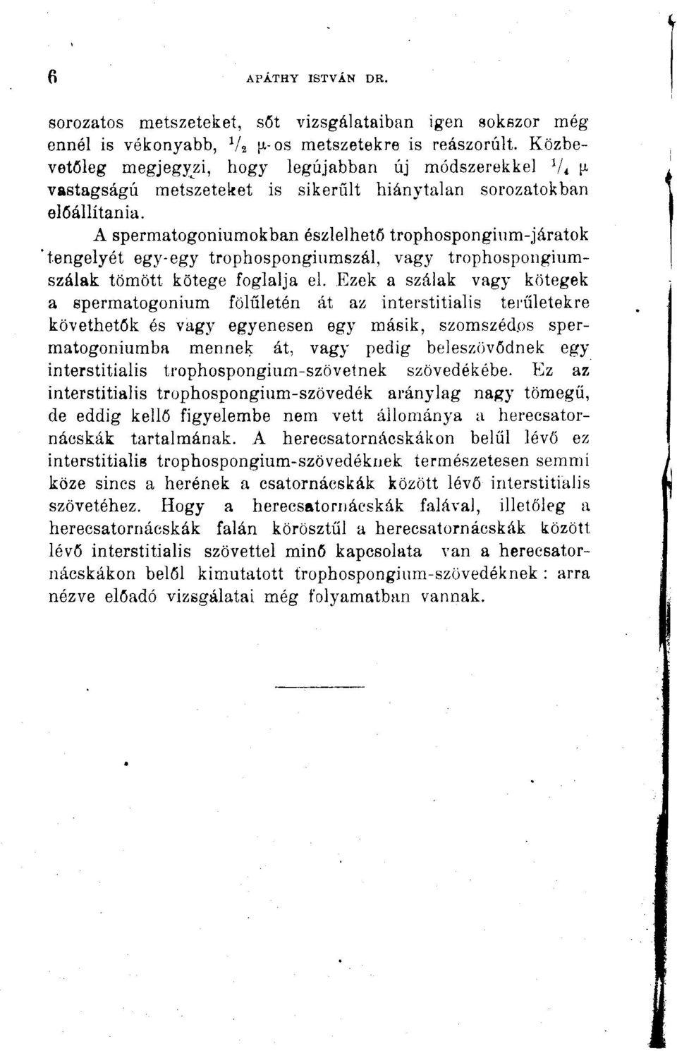 A spermatogoniumokban észlelhető trophospongium-járatok "tengelyét egy-egy trophospongiumszál, vagy trophospongiumszálak tömött kötege foglalja el.