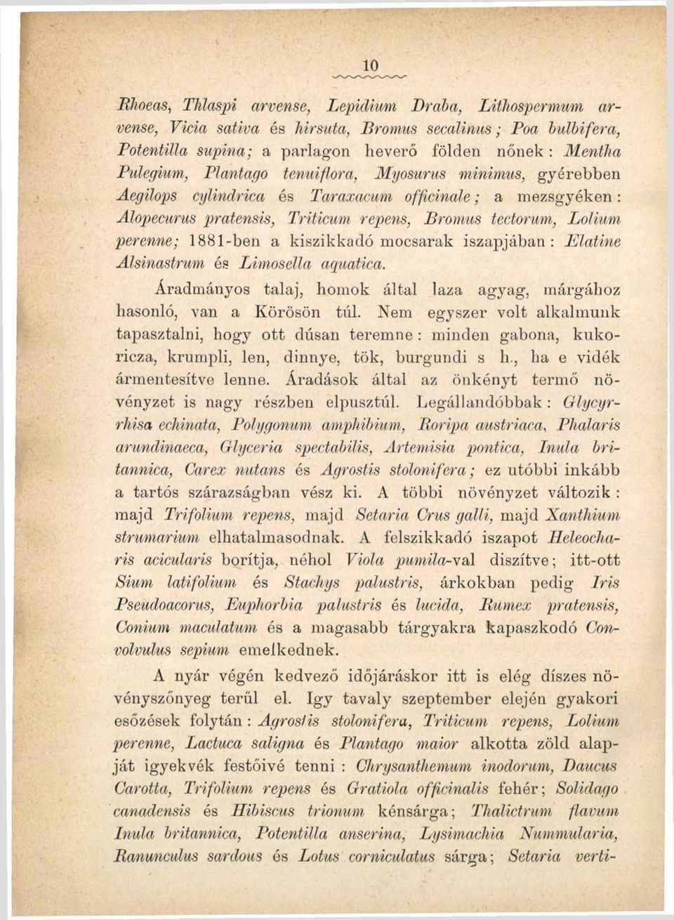 mocsarak iszapjában : Elatine Alsinastrum és Limosella aquatica. Áradmányos talaj, homok által laza agyag, márgához hasonló, van a Körösön túl.